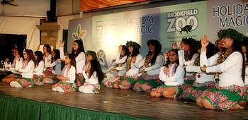 Our Christmas Show at Brookfield Zoo in their Holly Jolly Theatre in 2009. Photo by Renata Wilczynska.