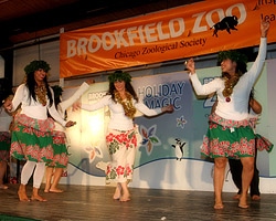 Our Christmas Show at Brookfield Zoo in their Holly Jolly Theatre in 2009. Photo by Renata Wilczynska.